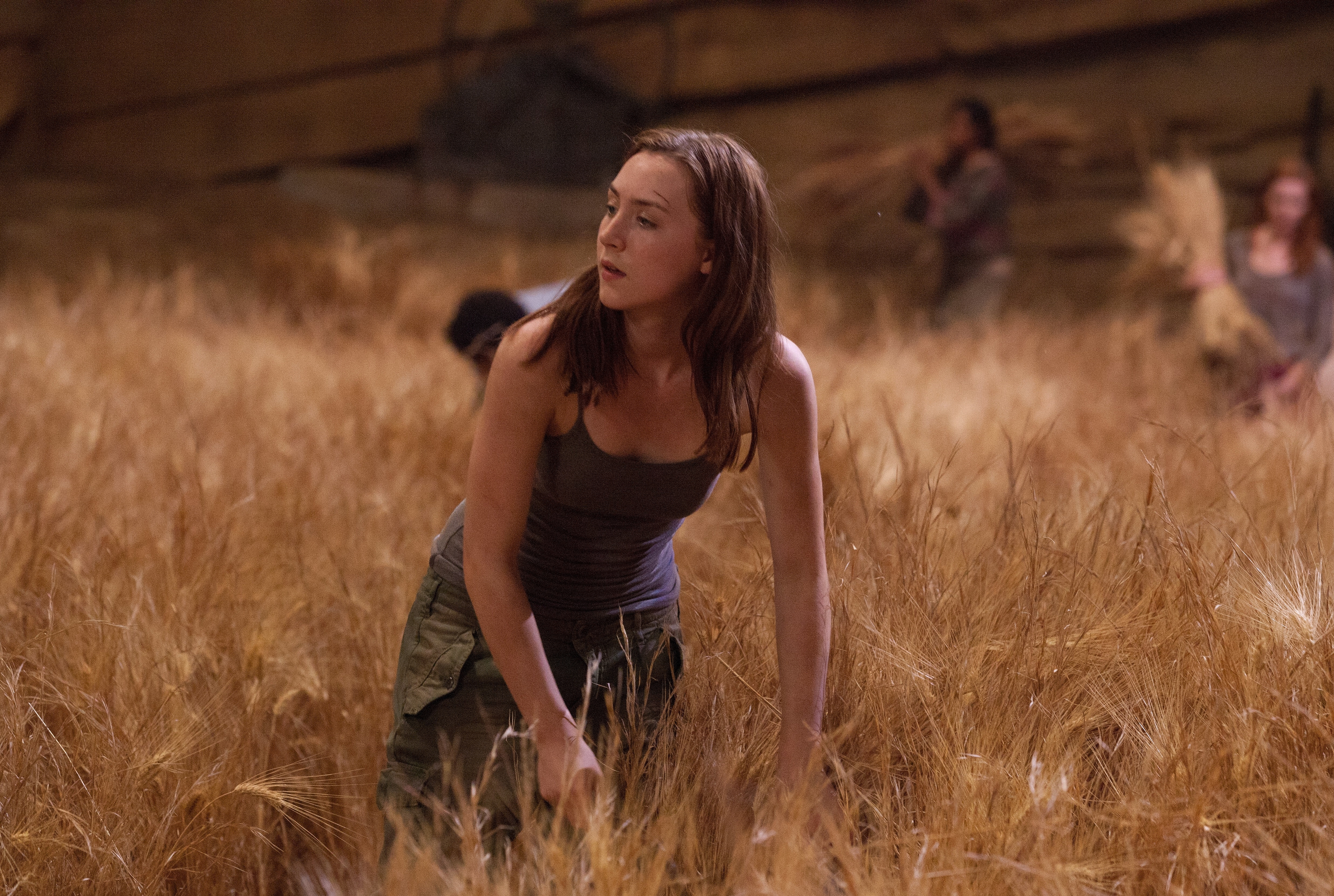 Movie The Host (2013) HD Wallpaper | Background Image