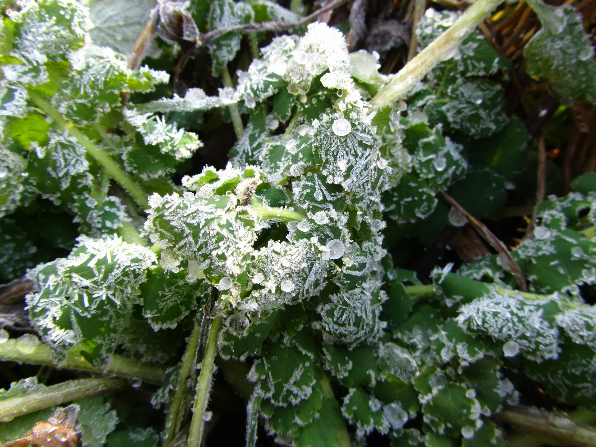 Download Nature Ice 4k Ultra HD Wallpaper by Vergilius