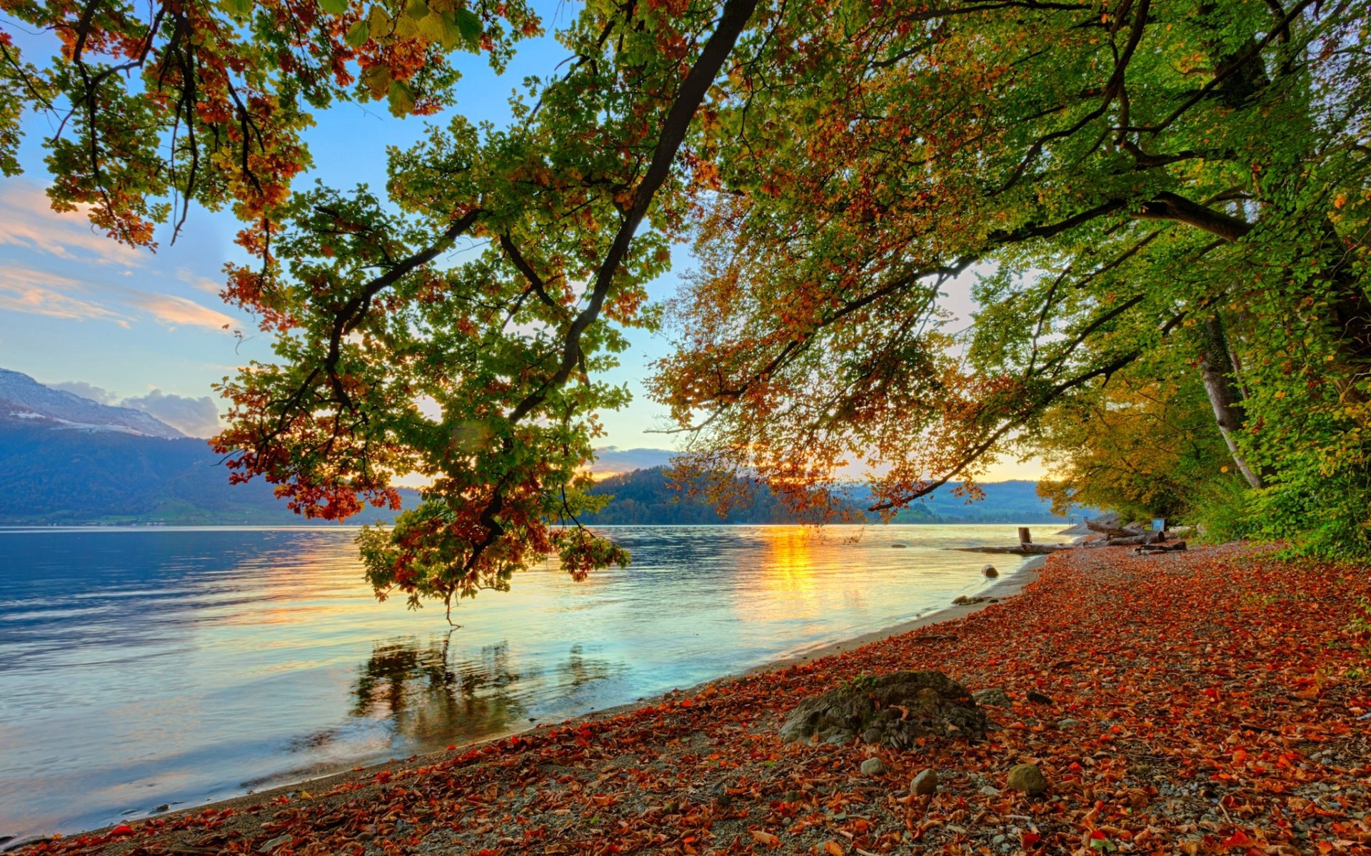 Download Leaf Fall Nature Lake HD Wallpaper