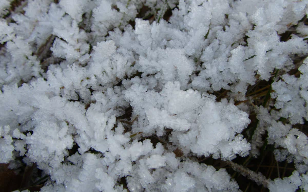 nature ice HD Desktop Wallpaper | Background Image