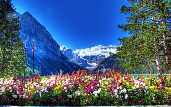 Earth Mountain Mountains Flower HD Wallpaper | Background Image