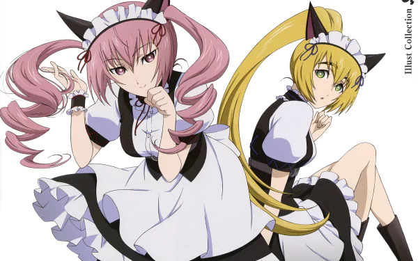 Anime-style Steins;Gate characters in detailed maid outfits, presented as a vibrant 4K Ultra HD PC desktop wallpaper and background.