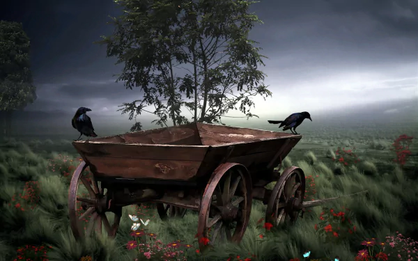 Animal crow HD Desktop Wallpaper | Background Image
