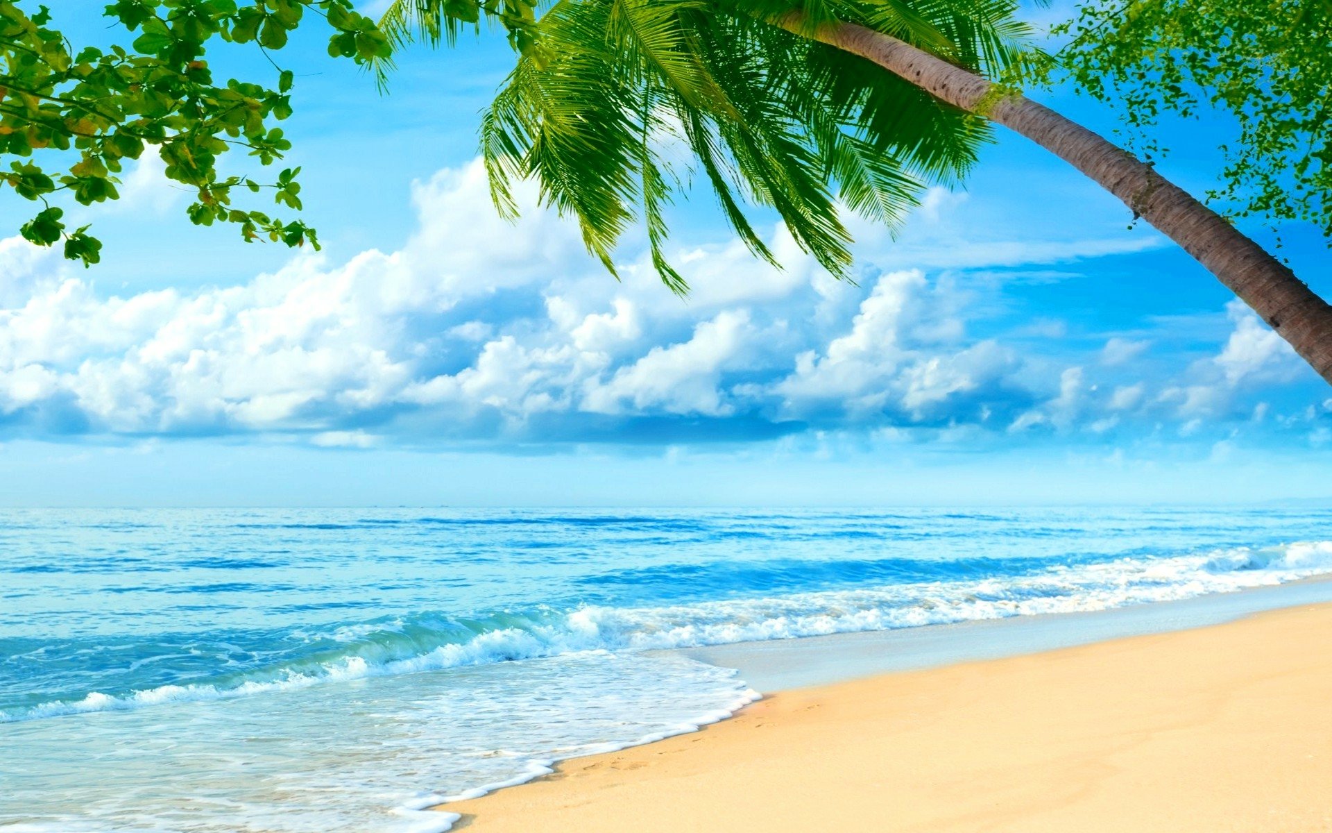 Download Nature Beach HD Wallpaper