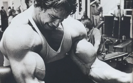 Black and white HD wallpaper of celebrity Arnold Schwarzenegger intensely lifting weights in the gym, showcasing his muscular arms and bodybuilding dedication.