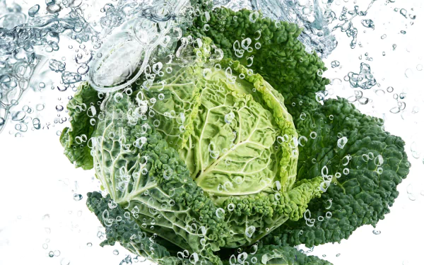 Fresh cabbage plunging into bubbling water, vibrant food close-up rendered as a 2K Quad HD PC desktop wallpaper and background.