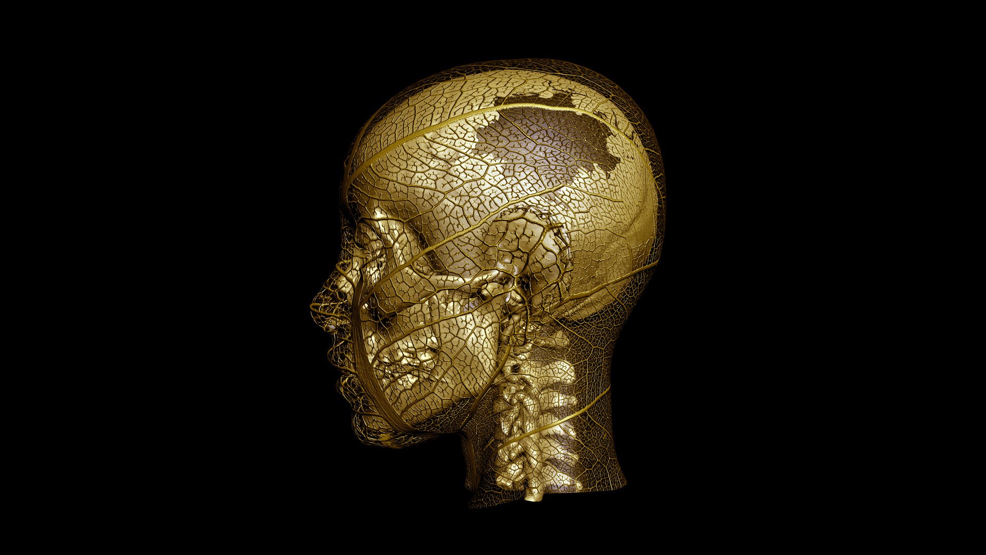 HD PC desktop wallpaper featuring a dark, detailed skull with a cracked, textured surface against a black background.