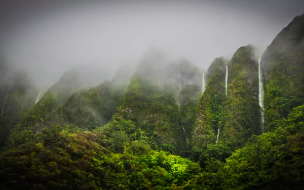 Lush green mountains shrouded in mist, featuring cascading waterfalls amidst the tropical jungle of Oahu, Hawaii. A stunning 4K Ultra HD nature wallpaper.