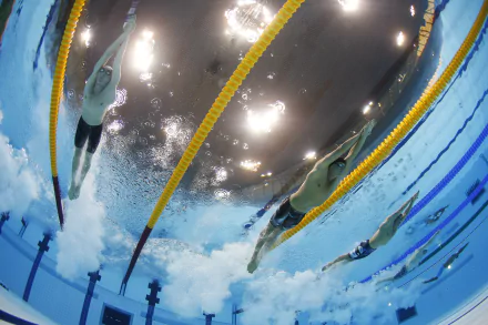 swimming Sports HD Desktop Wallpaper | Background Image