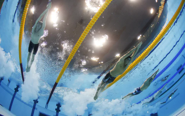 swimming Sports HD Desktop Wallpaper | Background Image