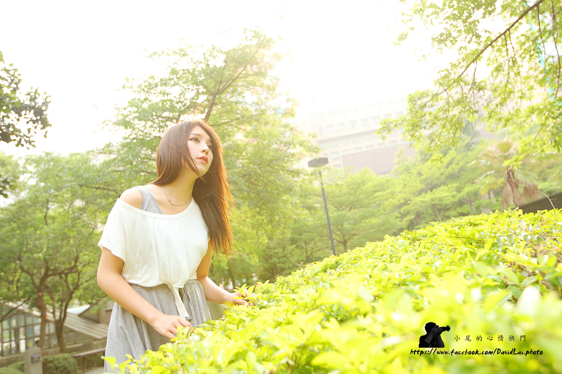 Download Taiwanese Asian Model Julie Chang Woman Zhang Qi Jun 4k Ultra HD Wallpaper by David Lai