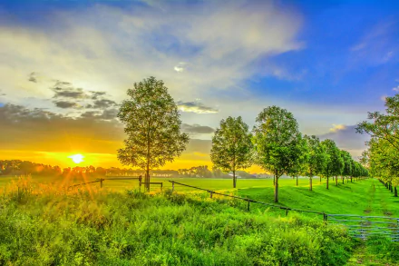 A serene countryside scene at sunset, featuring lush greenery and trees under a colorful sky, captures the beauty of summer in nature. This vibrant image serves as a calming desktop wallpaper.