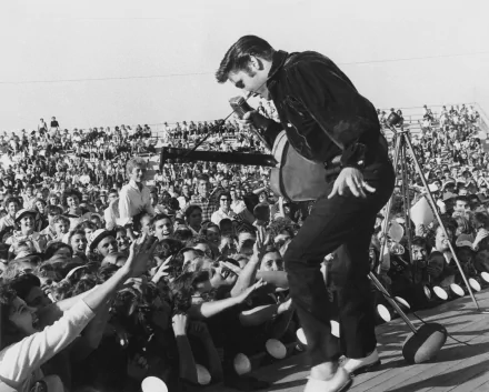 A black and white HD wallpaper featuring Elvis Presley performing energetically on stage, surrounded by an enthusiastic crowd, capturing the spirit of music and rock 'n' roll.