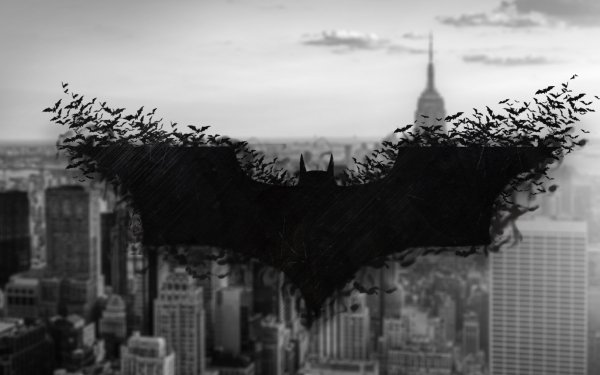 Movie The Dark Knight Rises Batman Movies HD Wallpaper | Background Image