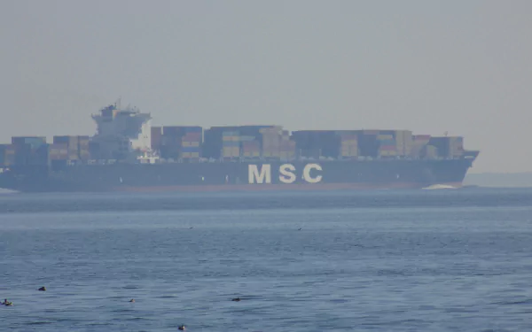 A large container ship labeled MSC sails across calm waters, captured in stunning 4K Ultra HD resolution, making a striking desktop wallpaper and background.
