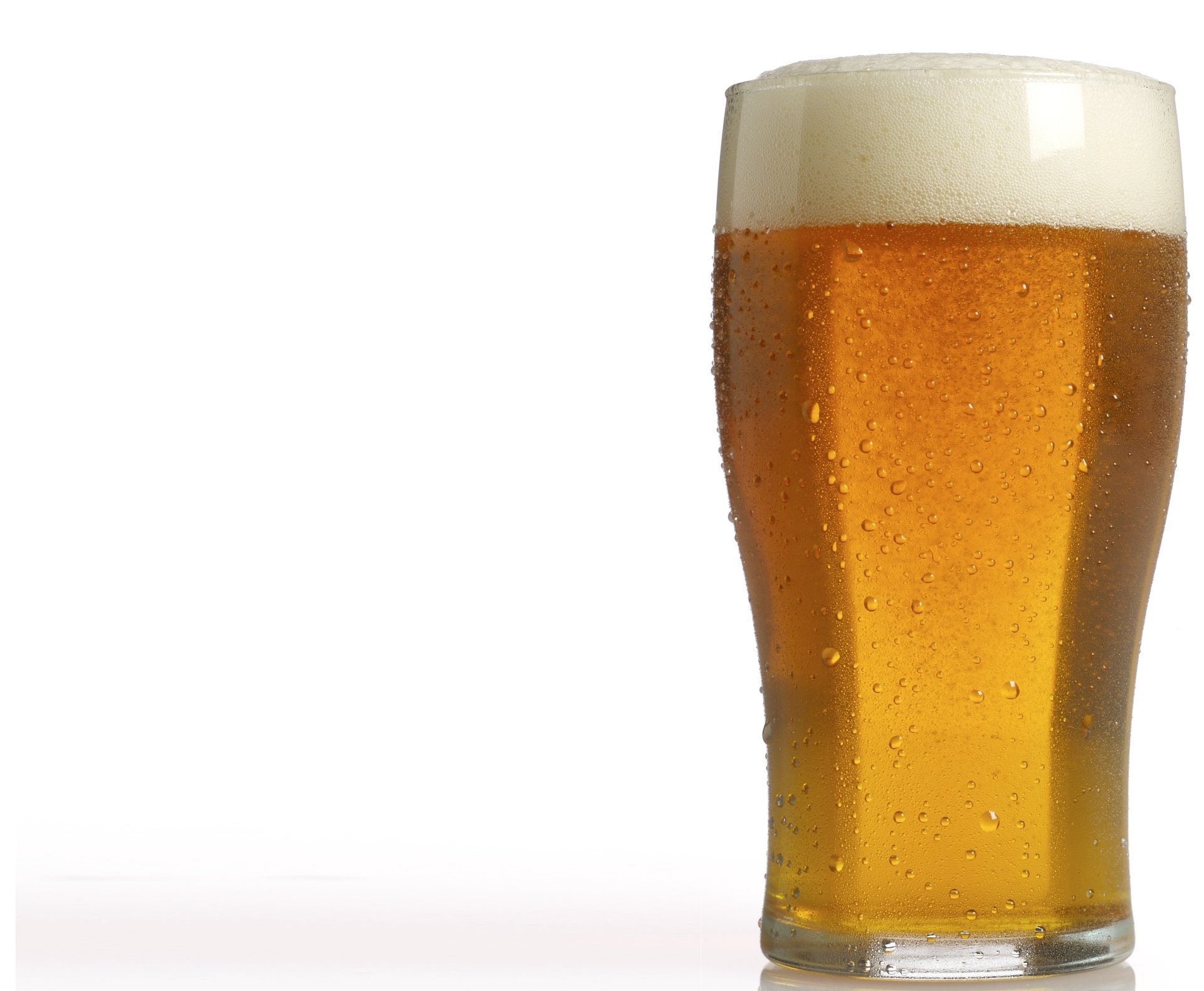Golden chilled beer in a tall glass with frothy head on white — 2K Quad HD PC desktop wallpaper background (food, beer).