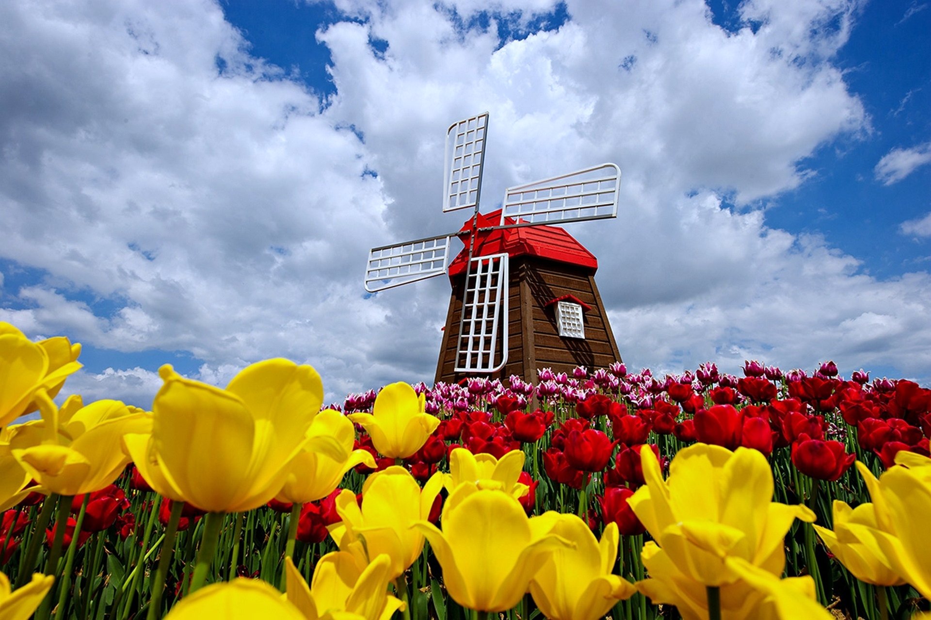 Spring