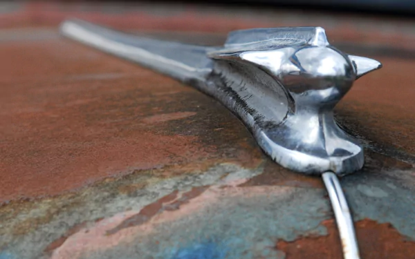 photography Hood Ornament HD Desktop Wallpaper | Background Image