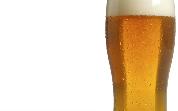 Golden chilled beer in a tall glass with frothy head on white — 2K Quad HD PC desktop wallpaper background (food, beer).