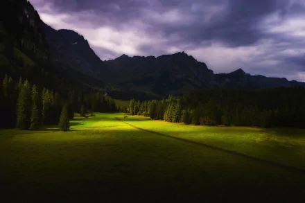  Holy Light