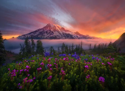A stunning sunrise over Mount Rainier, highlighting the Cascade Range. Vibrant flowers bloom in the foreground, surrounded by fog and a warm, glowing sky, capturing the essence of nature's beauty.