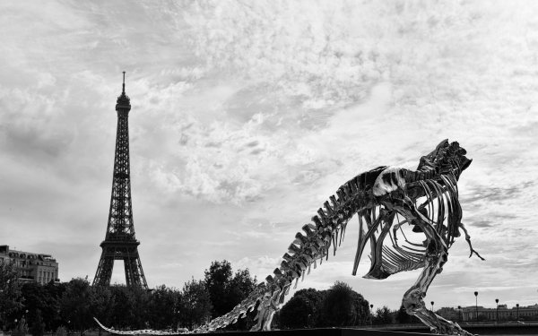 Man Made Eiffel Tower Monuments Paris Tyrannosaurus Rex Skeleton Black & White Monochrome Vintage HD Wallpaper | Background Image
