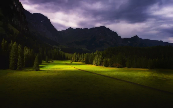 4K Ultra HD desktop wallpaper featuring a dramatic Swiss landscape with dark mountain silhouettes and sunlit green fields under a moody, cloud-filled sky.