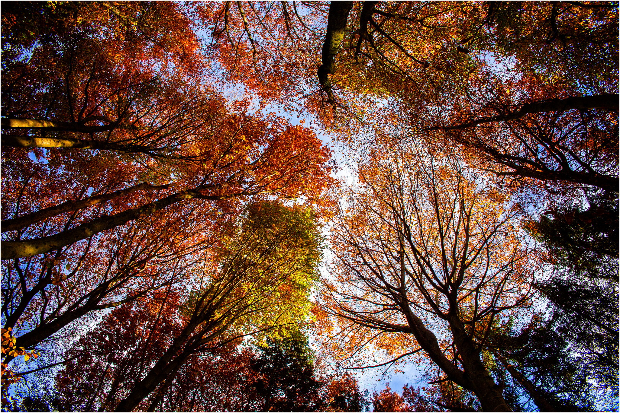 Nature Fall HD Wallpaper