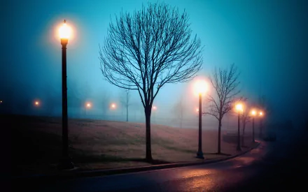A serene park scene featuring tall trees shrouded in mist, illuminated by glowing street lamps along a winding pathway, creating a tranquil and atmospheric ambiance.
