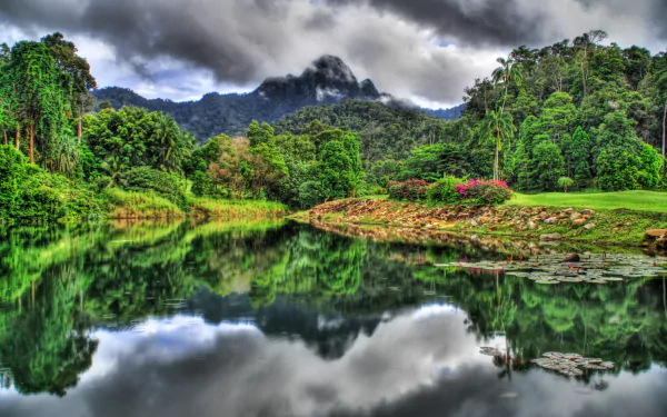 A serene view of Langkawi Island, Malaysia, showcasing a foggy jungle landscape reflected in tranquil waters, captured in vibrant HDR detail.