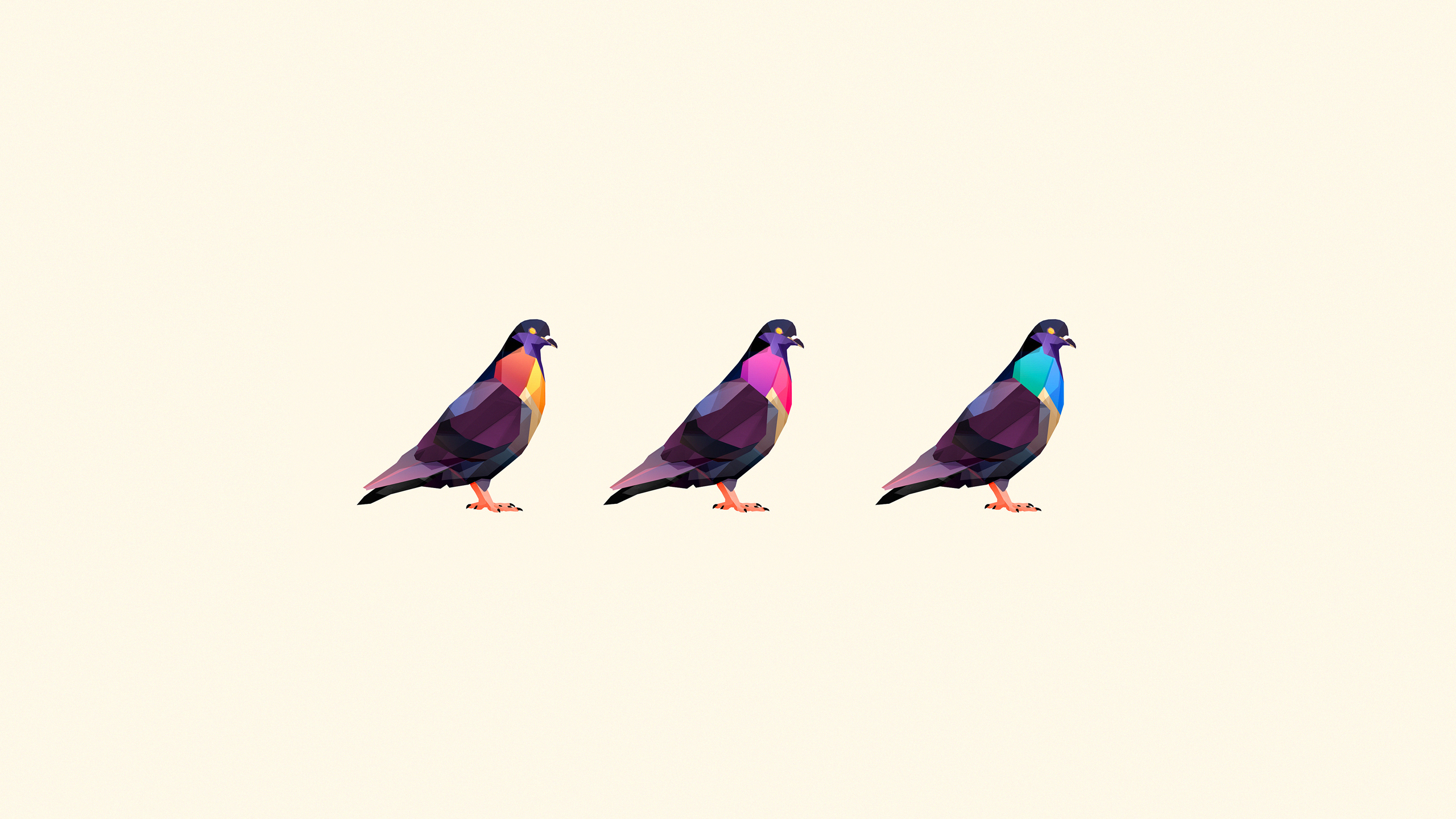 Animal Pigeon HD Wallpaper | Background Image