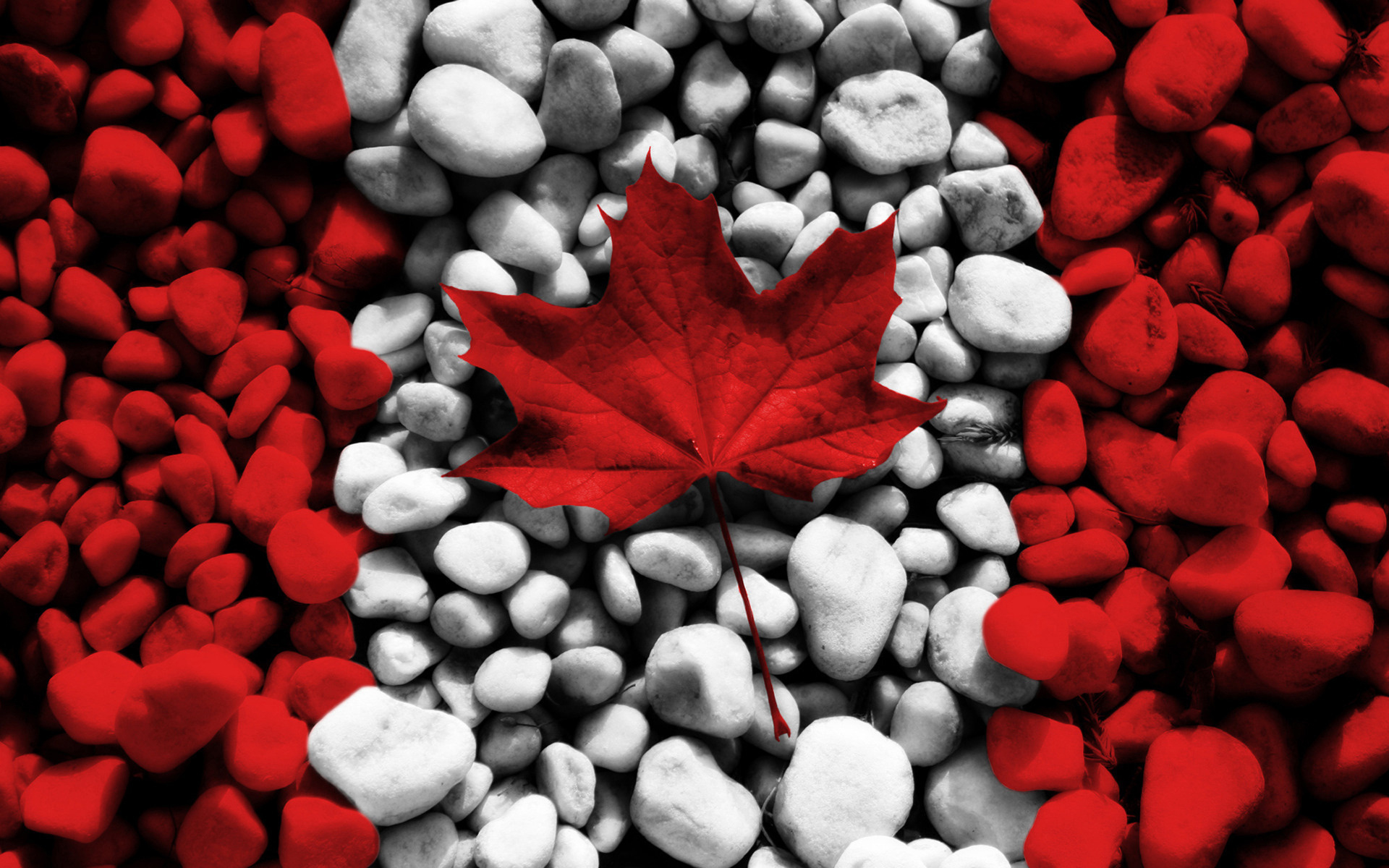 Flag Of Canada HD Wallpaper