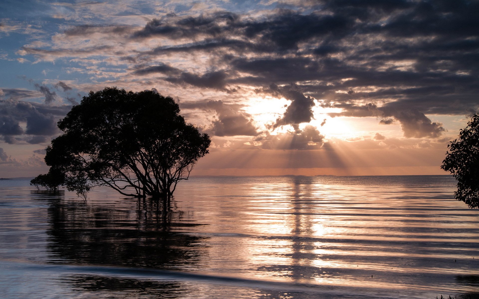 Download Nature Sunset HD Wallpaper | 1920x1200 | Wallpaper Abyss