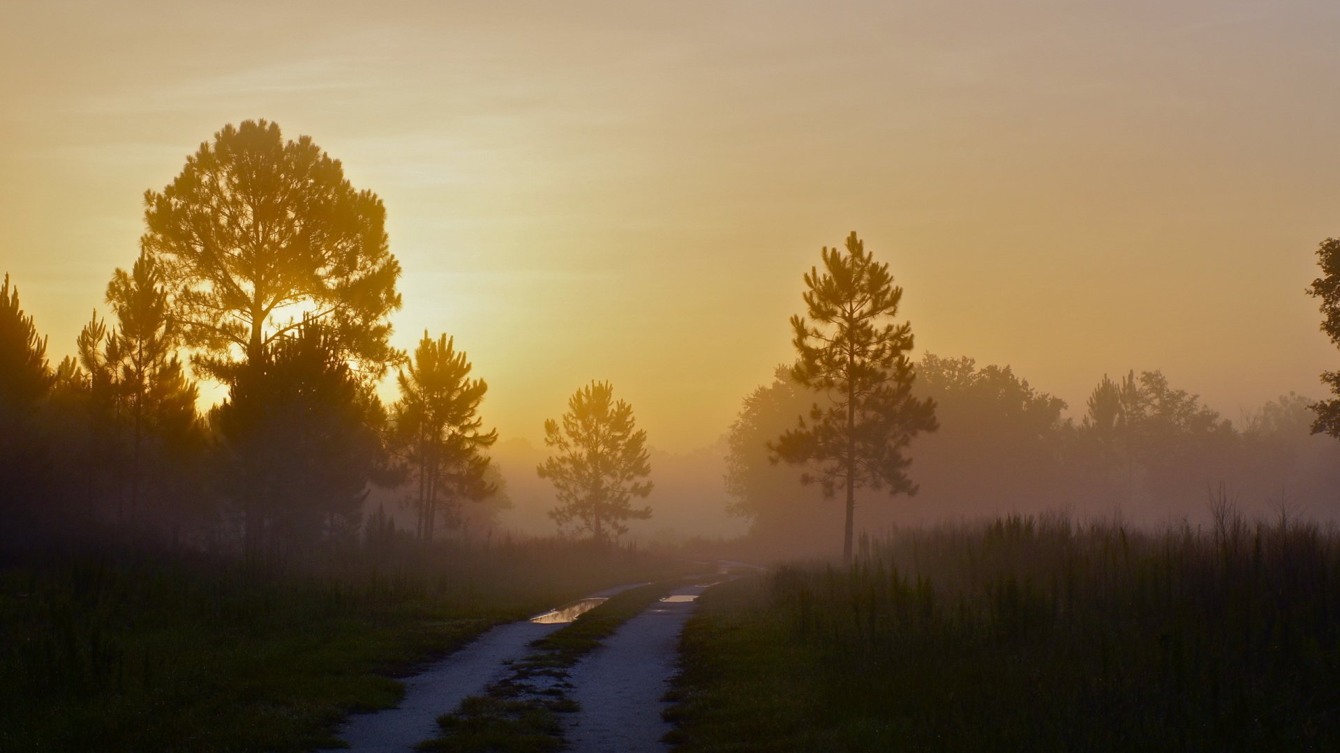 Download Nature Sunset HD Wallpaper