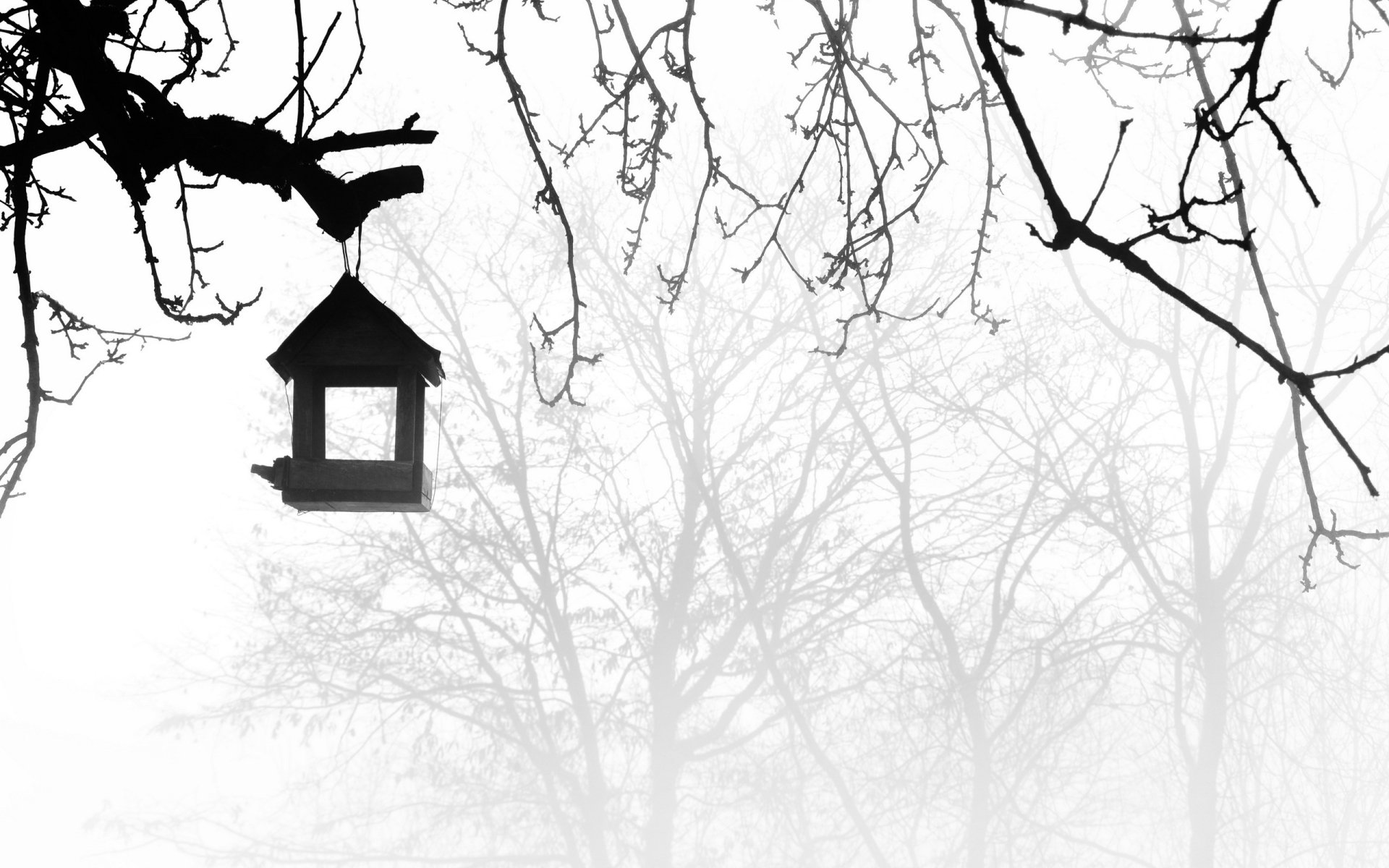 Download Man Made Bird House HD Wallpaper