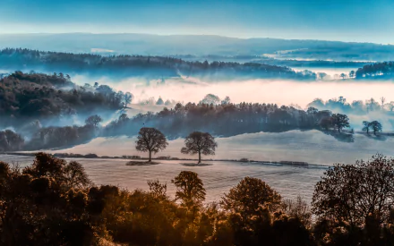 A serene 4K Ultra HD landscape wallpaper featuring a foggy forest with scattered trees and rolling hills under a soft blue sky.