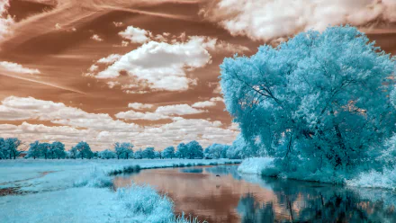 A tranquil landscape featuring a tree by a river, reflecting the vivid clouds above. The serene water enhances the natural beauty in this HD wallpaper.