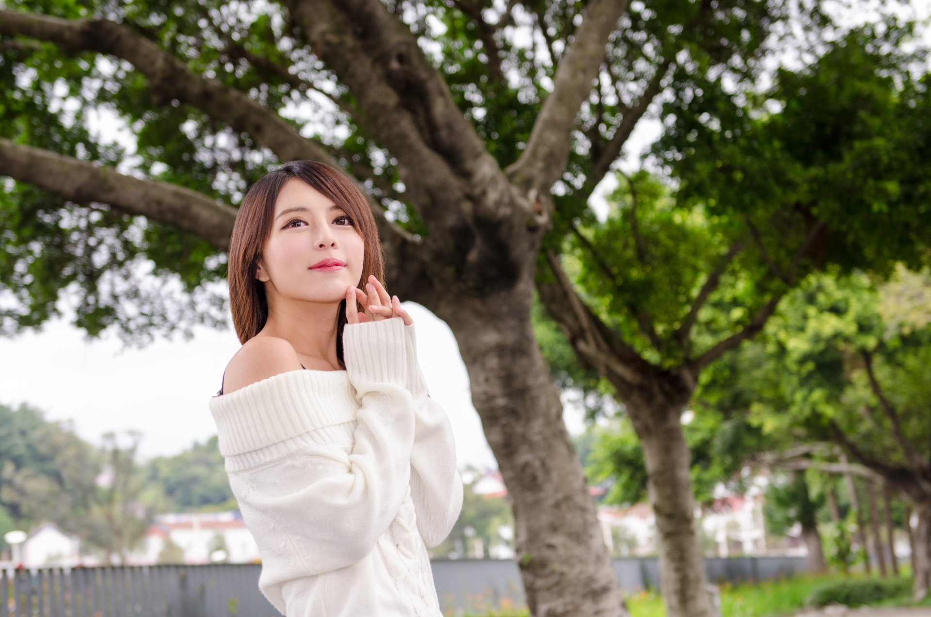 Portrait of a female model in a white off-shoulder sweater posing by a large tree in a park under soft natural light — 4K PC desktop wallpaper.