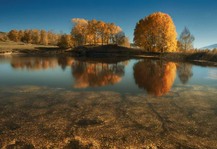 landscape tree reflection nature Bulgaria fall lake HD Desktop Wallpaper | Background Image