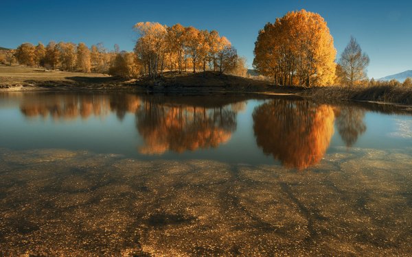 Earth Lake Lakes Fall Bulgaria Nature Reflection Tree Landscape HD Wallpaper | Background Image