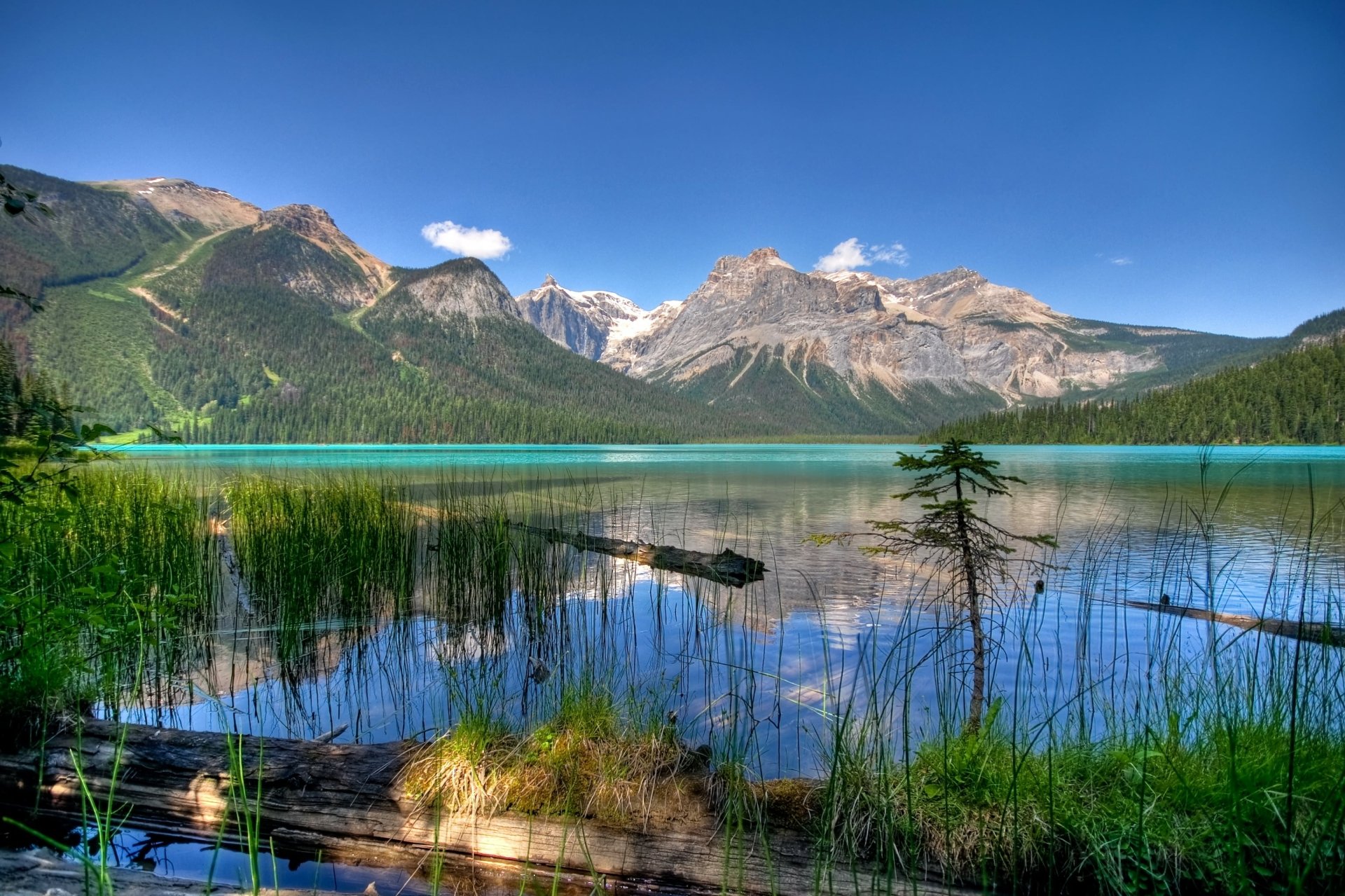 HD PC desktop wallpaper showcasing a serene lake in British Columbia, Canada, surrounded by lush greenery and majestic mountain peaks under a clear blue sky.