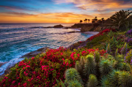  Treasure Island Sunset
