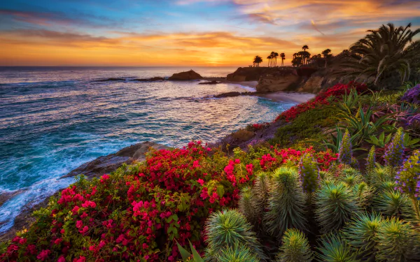Sunset over Laguna Beach lagoon with vibrant flowers and lush greenery by the sea, captured in stunning HD for a desktop wallpaper background.