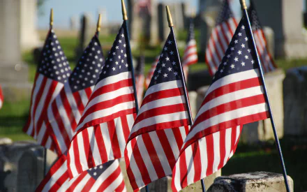 HD desktop wallpaper showing American flags placed on graves, commemorating Memorial Day with a solemn, patriotic holiday theme.