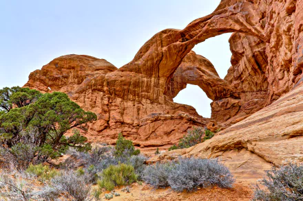 Stunning 4K Ultra HD view of natural sandstone arches and desert vegetation in Arches National Park, USA, showcasing vibrant orange rock formations under a clear sky.