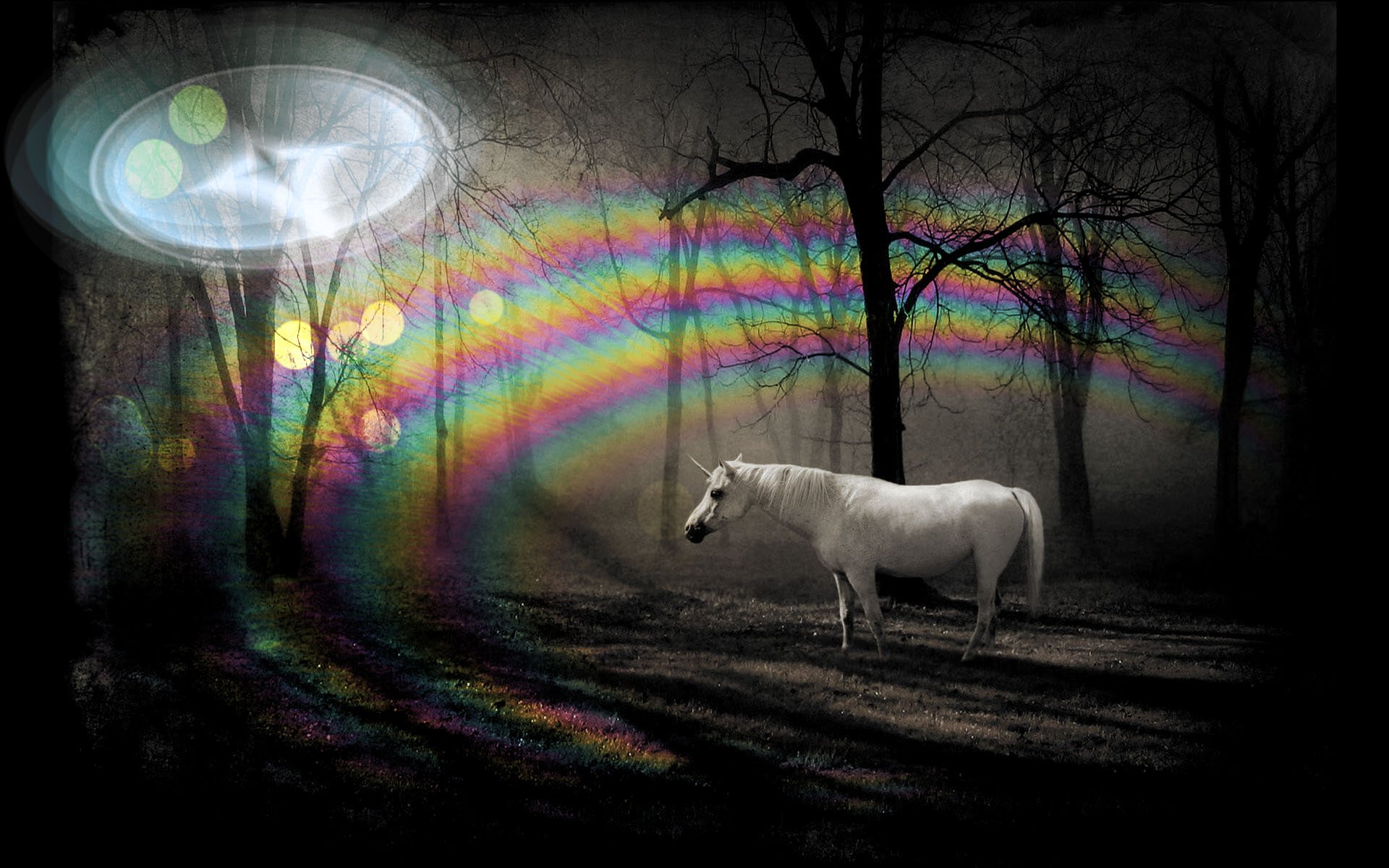 Fantasy-themed HD PC desktop wallpaper featuring a white unicorn standing in a dark forest with colorful, ethereal light patterns in the background.