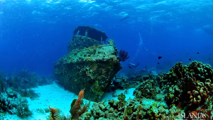 4K Ultra HD underwater scene of a diver exploring a sunken shipwreck surrounded by coral and marine life in the ocean.
