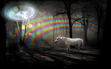 Fantasy-themed HD PC desktop wallpaper featuring a white unicorn standing in a dark forest with colorful, ethereal light patterns in the background.