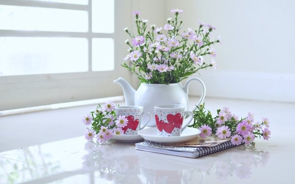 Photography Still Life Vase Flower Cup HD Wallpaper | Background Image