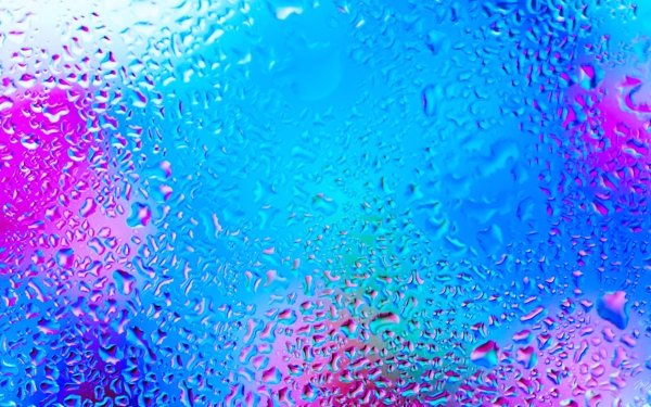 Photography Water Drop Water Rain Window HD Wallpaper | Background Image